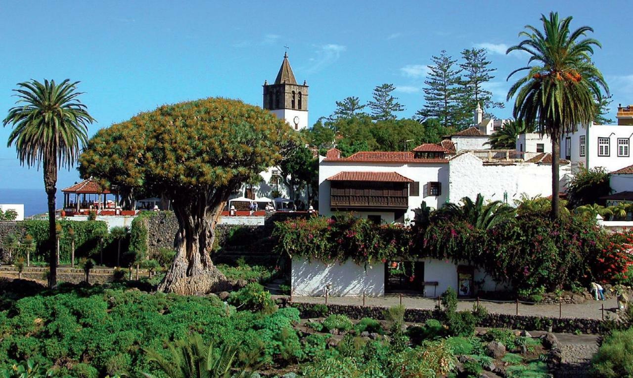 Apartamento Monis Natura Icod De Los Vinos Esterno foto